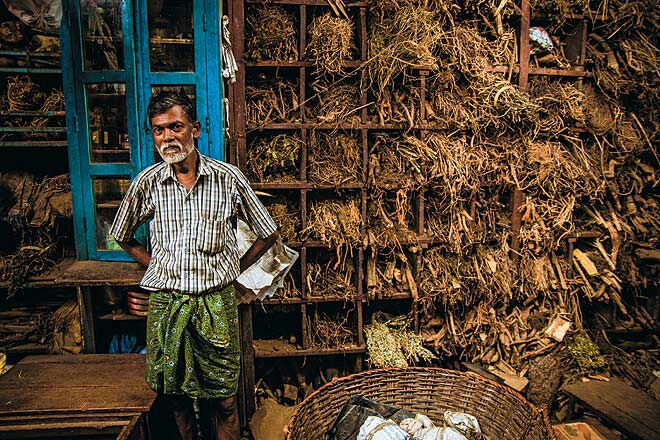 Himalayan Herbs