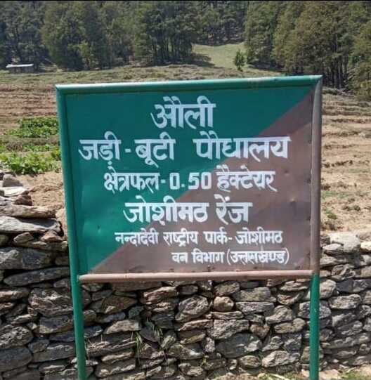 Himalayan Herbs