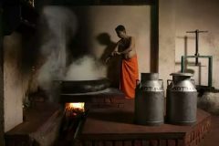 Himalayan Herbs