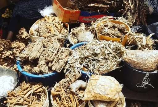 Himalayan Herbs