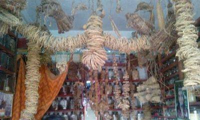Himalayan Herbs
