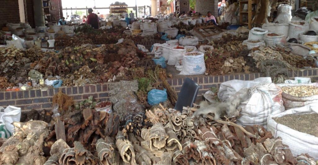 Himalayan Herbs